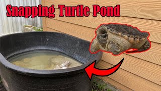 Setting Up a SNAPPING TURTLE pond