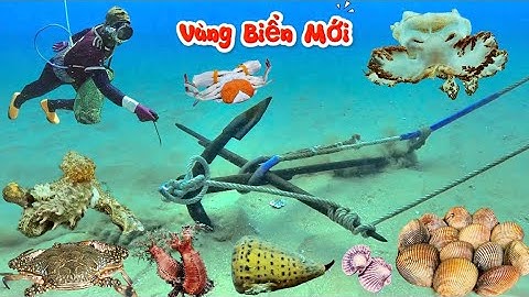 Vùng Biển Mới, Ngày Đầu Tiên Bắt Gặp Nhiều Hải Sản, Ghẹ Xanh, Hải Sâm Gai Quý Hiếm | Cảnh 86
