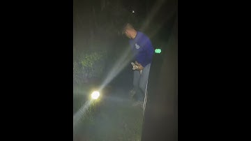 16 ft Giant Burmese Python in the Everglades - Sometimes you just gotta jump on for the ride!