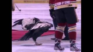 Akbaba Hokey Maçında Ortalığı Birbirine Kattı