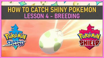 How to Catch Shiny Pokemon by Breeding in Pokemon Sword/Shield! - Shiny Hunting 101