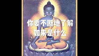 201903 你要不断地了解如来是什么50262