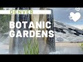 🏞 Ботанический Сад Денвера| Denver Botanic Gardens ⑦