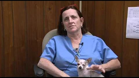 Debbie Pearson Discusses the Difficulties of Eutha...