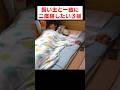 朝起きたら隣に子猫がいる幸せ