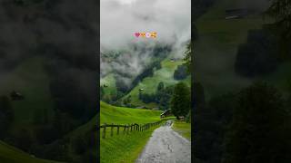 Yeh Lamhe Dobara Nahi Aate ✨ | Green Views &amp; Golden Friends 🌄✨ #trending #youtubeshorts #nature