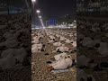 makkah haj today 2026