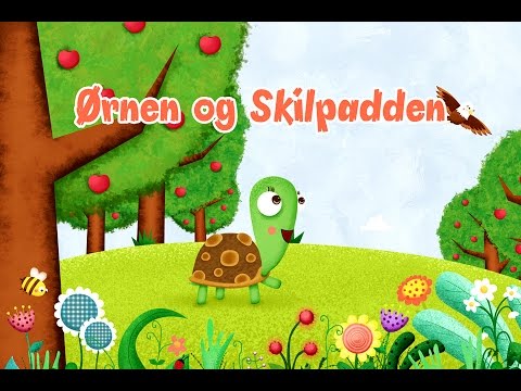 Video: I skilpadde og skilpadde?