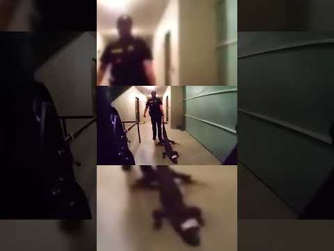 Florida Cops Face Off Against Angry Gator | Part 6