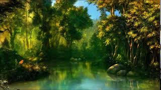 Yellow, green, natural, water, forest photography&video background