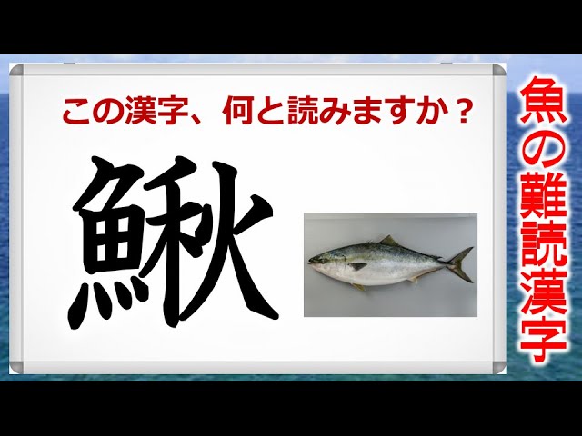 魚の難読漢字 魚へんの難しい漢字の問題 25連発 Youtube