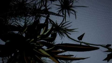 Sommerer & Mignonneau: Wissengewächs, 2007