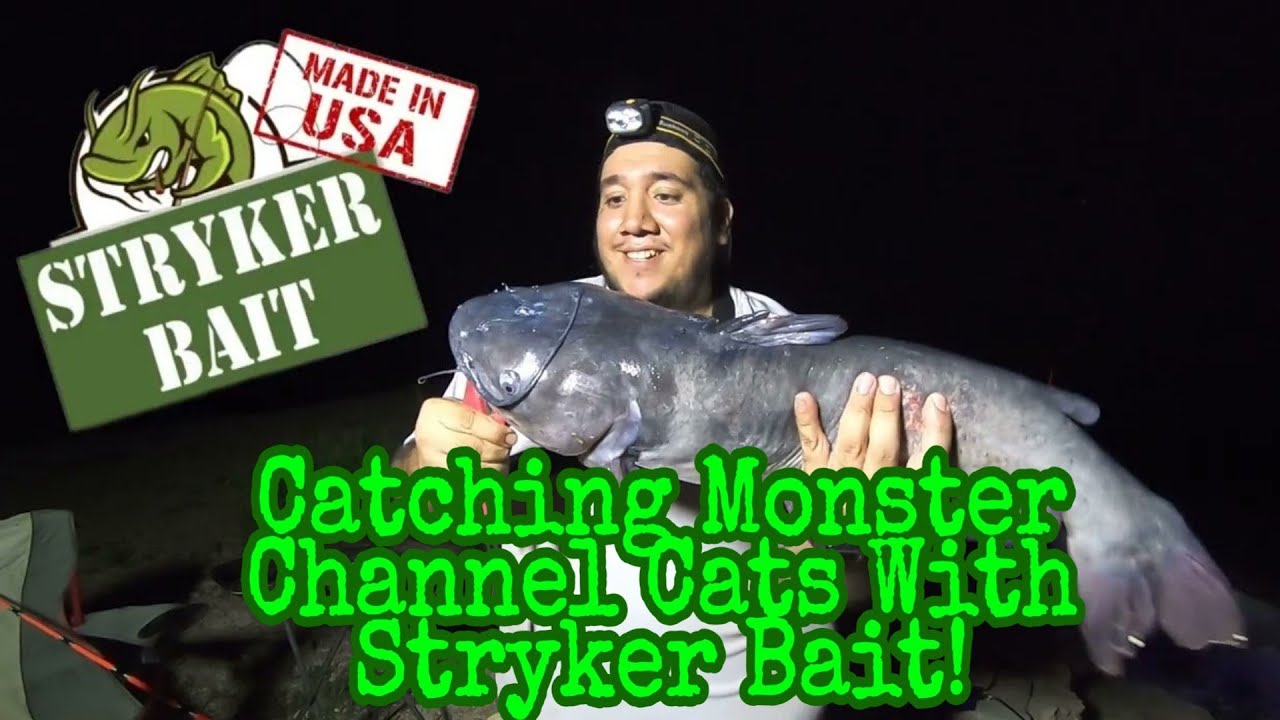 Catching Monster Channel Cats Using Stryker Bait! 