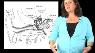 What Is An Audiologist?