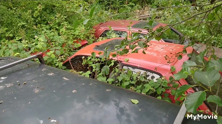 Abandoned Forgotten Volvo, Fiesta and Peugeot 205!!