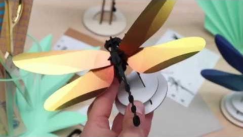 How to make our paper Dragonfly 3D Insect puzzle | Assembli