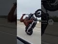 Monkey Davidson #ai #comedy #youtubeshorts #funny