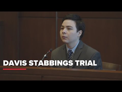 Davis stabbings verdict: