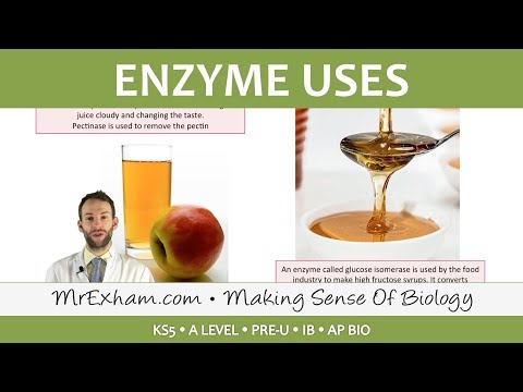 Enzymes - Commercial Uses - Post 16 Biology (A Level, Pre-U, IB, AP Bio)