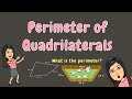 Understanding Perimeter of Quadrilaterals