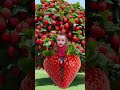 فريز اطفال بيبي 
