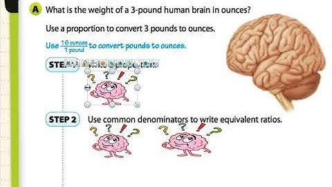 G7 7.3 Converting Witing Measurement Systems