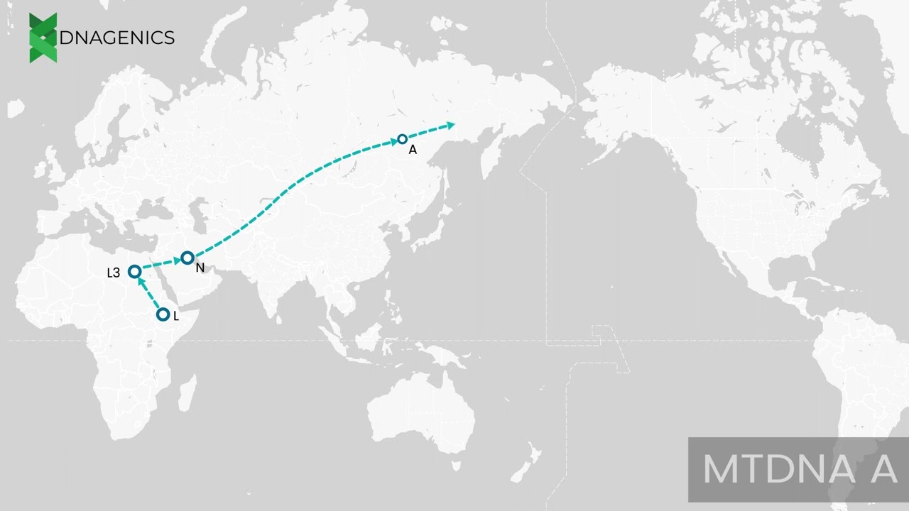 MTDNA A - DNAGENICS