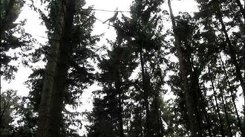 veluwse rednecks.AVI