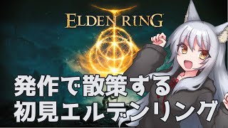 春日 探幽の配信のサムネイル画像