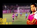 DM D1-2011