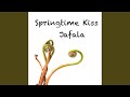 Springtime Kiss