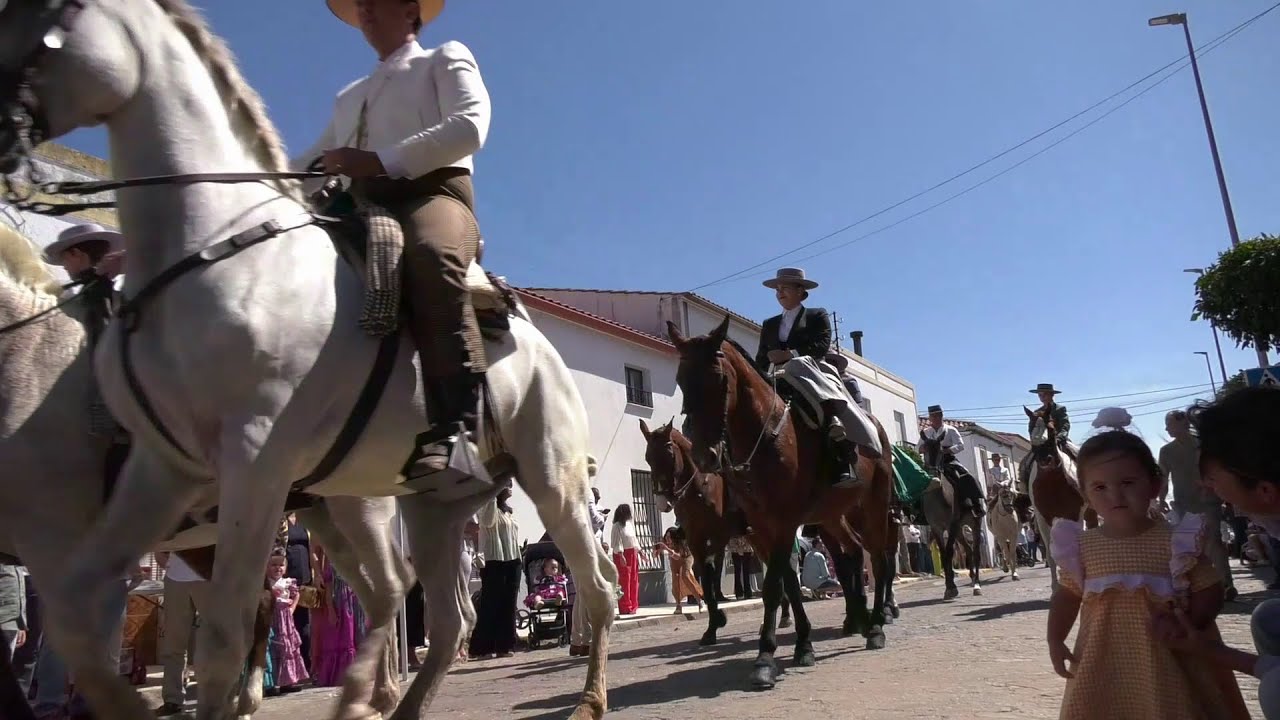 Paseo a Caballos Feria San Mateo 2025