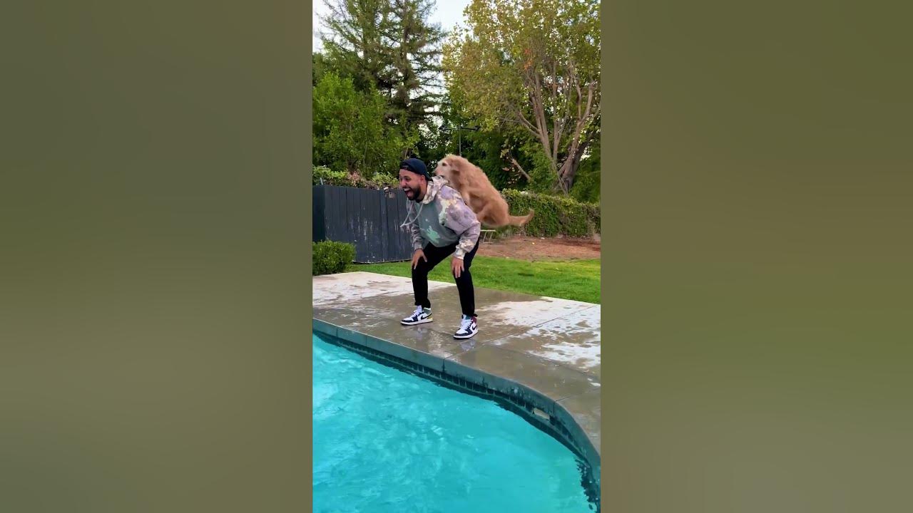 my-dog-has-my-back-karma-dog-cute-funny-comedy-hannahstocking