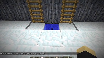 Twilight Forest: Robust Tree Cave