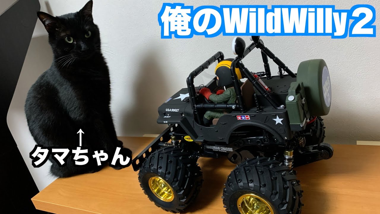 RC Model] Introducing my WildWilly 2! What about the motor? What
