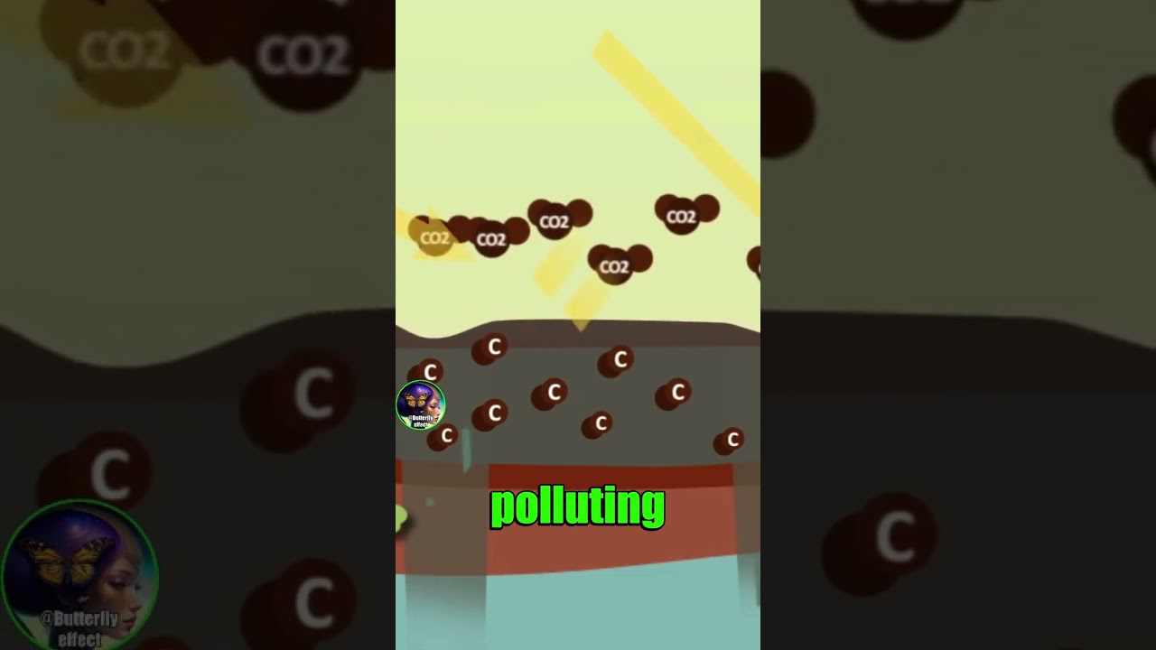 ⚠️ ⛏️ 🌎 The Hidden Dangers of Peat Extraction #viral #curiosity