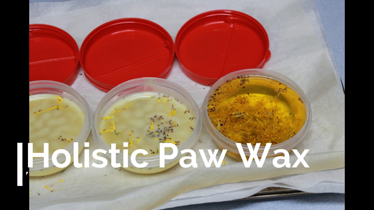 Dog Paw Protector DIY Paw Wax YouTube
