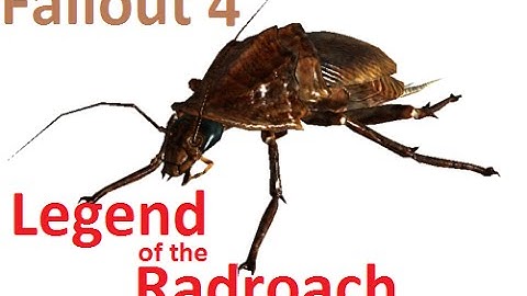 Fallout 4 - Legend of the Radroach