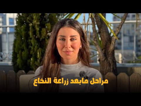 ما هي المراحل ما بعد زراعة النخاع اكسبلور سرطان  التهاب تنمية بشرية صحة