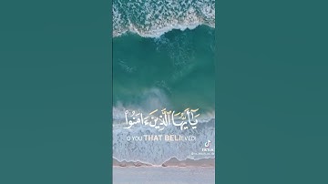 ما اسم القارئ؟
