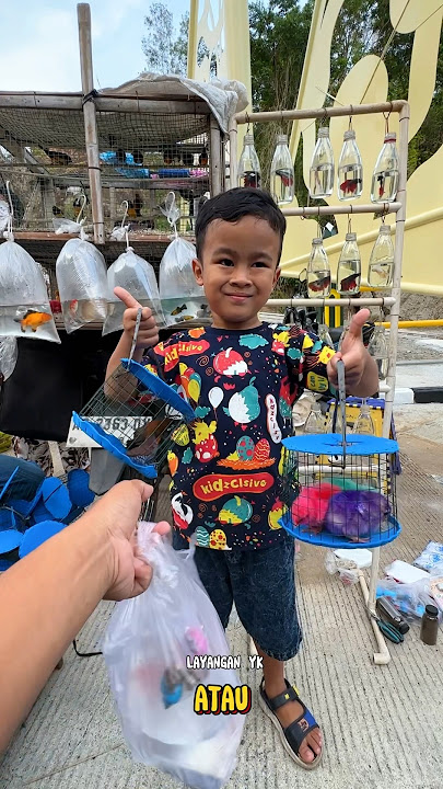 Borong Banyak Ayam Burung Ikan Kelomang