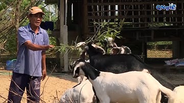 Cùng nỗ lực giảm nghèo bền vững | QNgTV