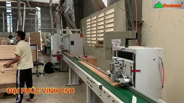 MÁY CẮT NGANG KHUYẾT TẬT VẠCH PHẤN CAO TỐC WOODMASTER