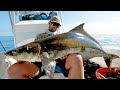 Cobia Fishing Challenge - Spearfishing VS Rod & Reel