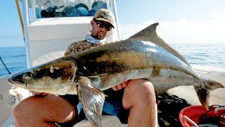 Cobia Fishing Challenge - Spearfishing VS Rod & Reel