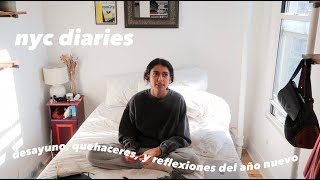 nyc diaries | *sin salir de mi casa porque hace frío*