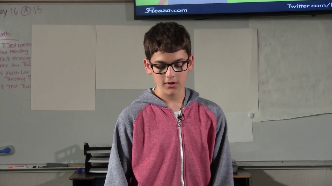 The Pollution Solution | Aidan Sheena | Roy Cloud School