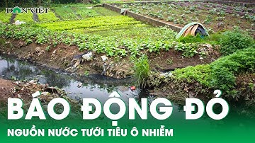 Báo động đỏ về tình trạng ô nhiễm nguồn nước tưới tiêu của nông dân Hà Nội | Báo điện tử Dân Việt