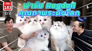 ฟาร์ม Ragdoll คุณภาพระดับโลก - เพื่อนรักสัตว์เอ้ย EP.183 2/2