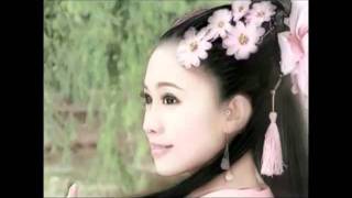 A  Beautiful Chinese Melody Music- A Spray of Plum Blossoms !